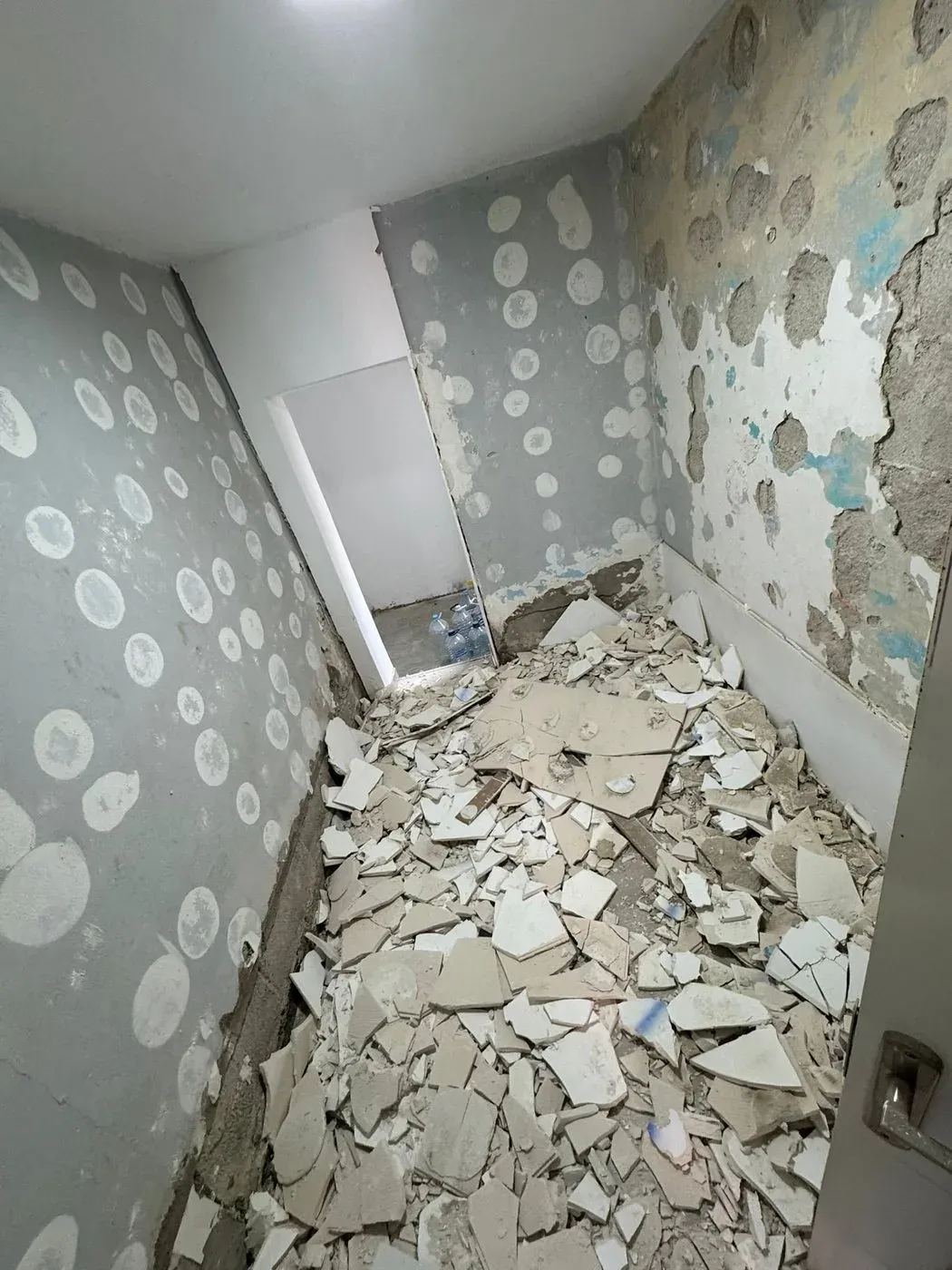 El baño, antes