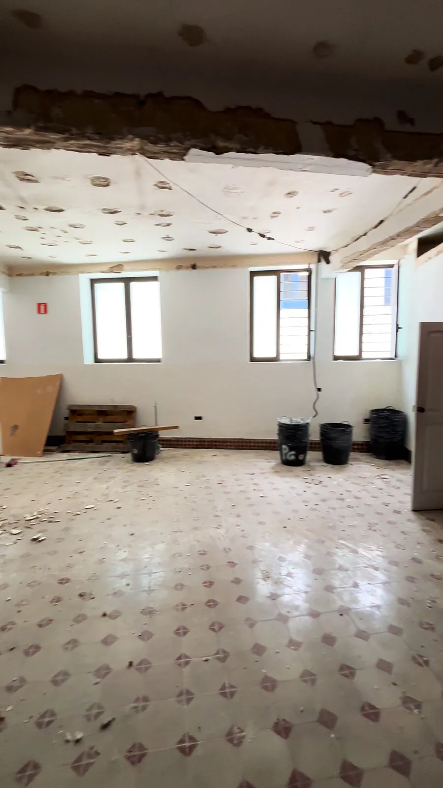 Las ventanas altas del sótano